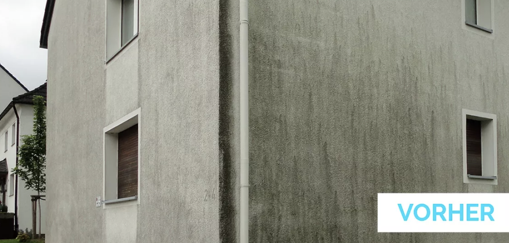 Doppelhaus Fassade – vorher